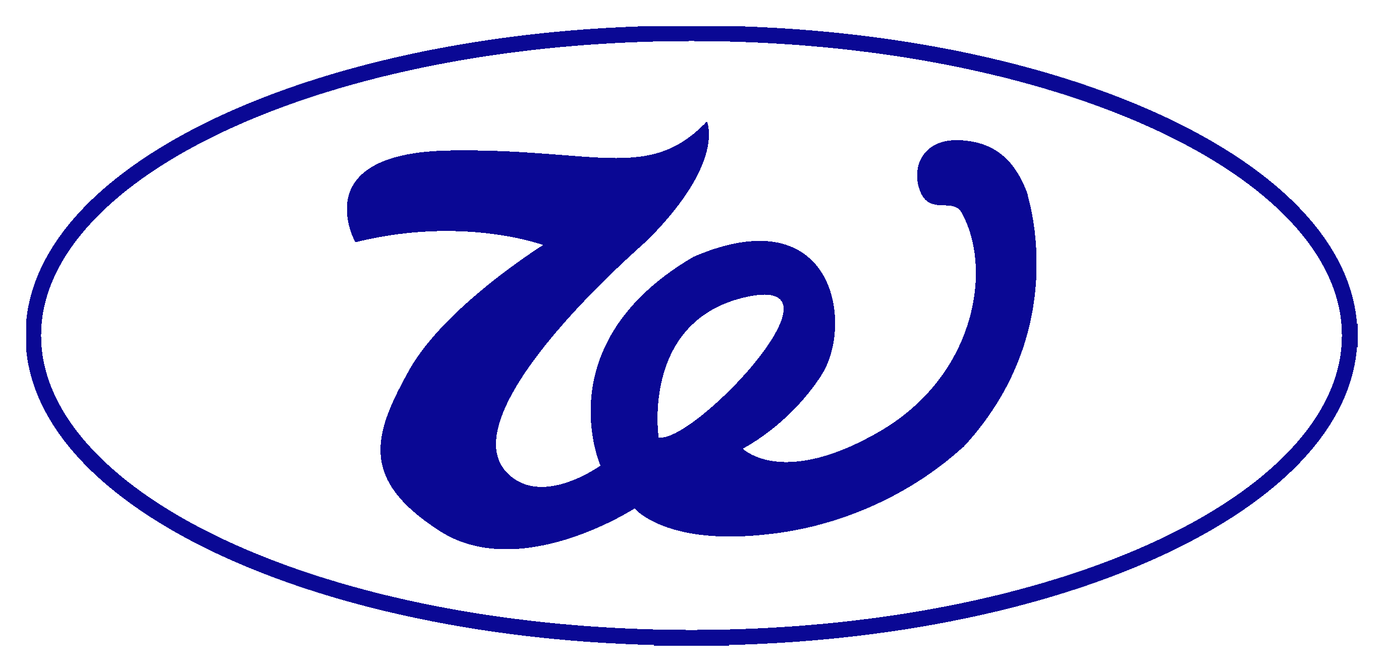 Siam Win Born (Win Steel) logo